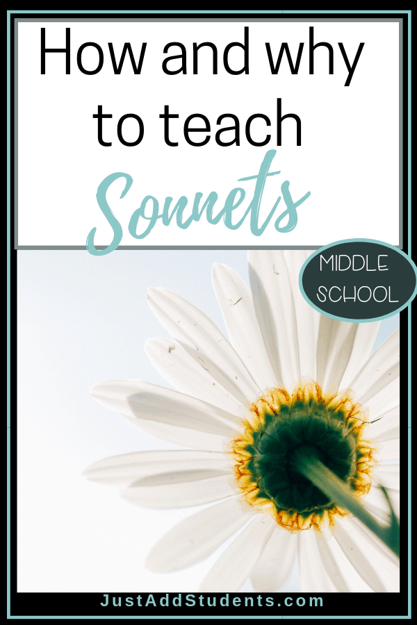 how to write a sonnet worksheet